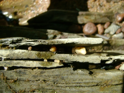 Pebbles caught in between slate